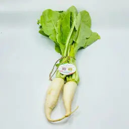 White Radish